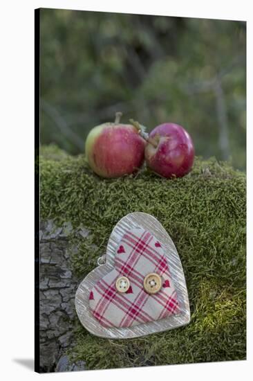 Apples, Two, Heart, Tree Trunk, Moss-Andrea Haase-Stretched Canvas