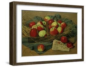 Apples-Félix Vallotton-Framed Giclee Print