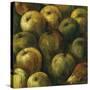 Apples-O'Flannery-Stretched Canvas