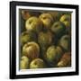 Apples-O'Flannery-Framed Giclee Print