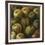 Apples-O'Flannery-Framed Giclee Print