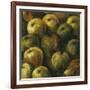 Apples-O'Flannery-Framed Giclee Print