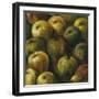 Apples-O'Flannery-Framed Giclee Print