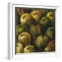 Apples-O'Flannery-Framed Giclee Print