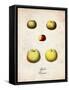 Apples-null-Framed Stretched Canvas