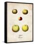 Apples-null-Framed Stretched Canvas