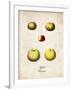 Apples-null-Framed Art Print