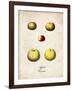 Apples-null-Framed Art Print