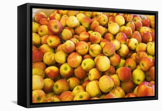 Apples-Buddy Mays-Framed Stretched Canvas