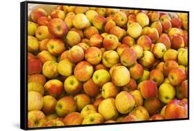 Apples-Buddy Mays-Framed Stretched Canvas