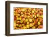 Apples-Buddy Mays-Framed Photographic Print