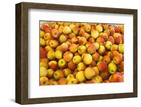 Apples-Buddy Mays-Framed Photographic Print