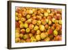 Apples-Buddy Mays-Framed Photographic Print