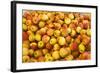 Apples-Buddy Mays-Framed Photographic Print