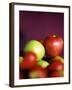 Apples-Elissavet Patrikiou-Framed Photographic Print