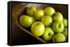 Apples-Karyn Millet-Framed Stretched Canvas