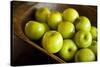 Apples-Karyn Millet-Stretched Canvas