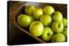 Apples-Karyn Millet-Stretched Canvas