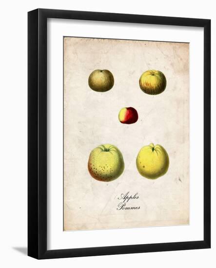 Apples-null-Framed Art Print