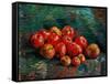 Apples-Vincent van Gogh-Framed Stretched Canvas