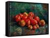 Apples-Vincent van Gogh-Framed Stretched Canvas