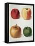 Apples-George Brookshaw-Framed Stretched Canvas