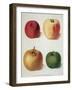 Apples-George Brookshaw-Framed Giclee Print