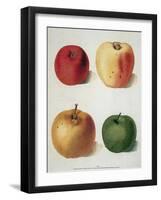 Apples-George Brookshaw-Framed Giclee Print