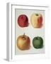 Apples-George Brookshaw-Framed Giclee Print