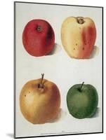 Apples-George Brookshaw-Mounted Giclee Print