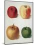 Apples-George Brookshaw-Mounted Giclee Print