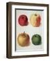 Apples-George Brookshaw-Framed Giclee Print