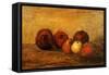 Apples-Gustave Courbet-Framed Stretched Canvas