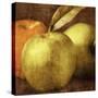 Apples-Caroline Kelly-Stretched Canvas