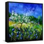 Appletree 7741-Pol Ledent-Framed Stretched Canvas