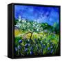 Appletree 7741-Pol Ledent-Framed Stretched Canvas