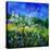 Appletree 7741-Pol Ledent-Stretched Canvas