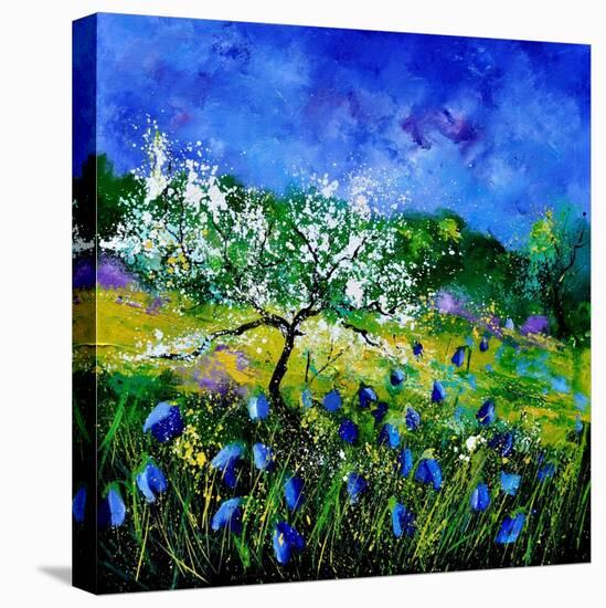 Appletree 7741-Pol Ledent-Stretched Canvas