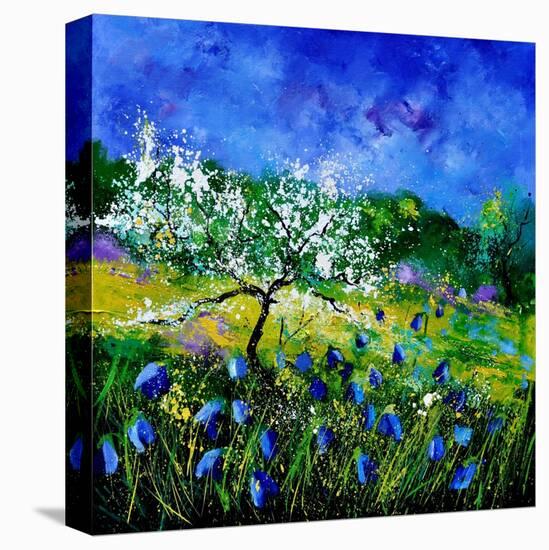 Appletree 7741-Pol Ledent-Stretched Canvas