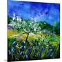 Appletree 7741-Pol Ledent-Mounted Art Print