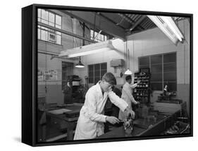 Apprentice at Work, Globe and Simpson Auto Electrical Workshop, Nottingham, Nottinghamshire, 1961-Michael Walters-Framed Stretched Canvas