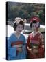 Apprentice Geisha (Maiko), Women Dressed in Traditional Costume, Kimono, Kyoto, Honshu, Japan-null-Stretched Canvas