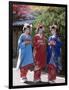 Apprentice Geisha (Maiko), Women Dressed in Traditional Costume, Kimono, Kyoto, Honshu, Japan-null-Framed Photographic Print