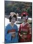 Apprentice Geisha (Maiko), Women Dressed in Traditional Costume, Kimono, Kyoto, Honshu, Japan-null-Mounted Photographic Print
