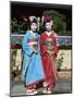 Apprentice Geisha (Maiko), Women Dressed in Traditional Costume, Kimono, Kyoto, Honshu, Japan-null-Mounted Photographic Print