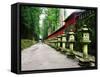 Approach of Futara-San Shrine-null-Framed Stretched Canvas