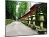 Approach of Futara-San Shrine-null-Mounted Photographic Print