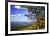 Approaching Autumn II-Alan Hausenflock-Framed Photographic Print