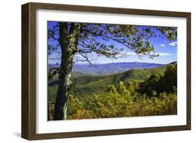 Approaching Autumn IV-Alan Hausenflock-Framed Photographic Print