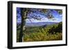 Approaching Autumn IV-Alan Hausenflock-Framed Photographic Print